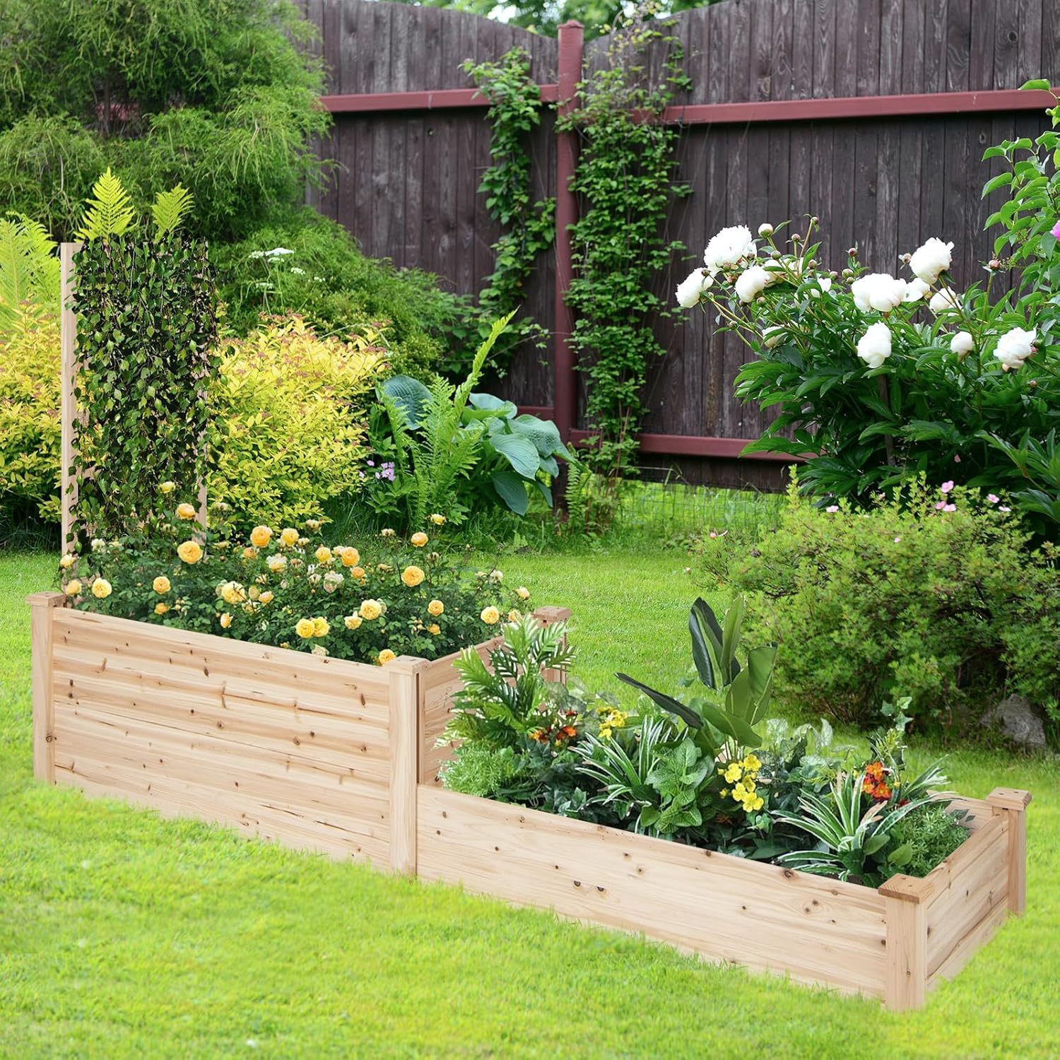 Raised Garden Bed with Trellis, Wood Garden Box w/Open Base Design & 2 Compartments, Outdoor Wooden Planter Box Kit for Vine Climbing, Fruits, Vegetables, Flowers, Herbs