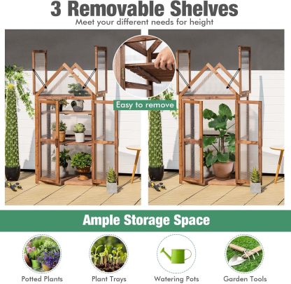 Cold Frame Greenhouse, Mini Wooden Greenhouse Raised Flower Planter Shelf w/Transparent Openable Roof, Double Doors & 3 Tier Shelves