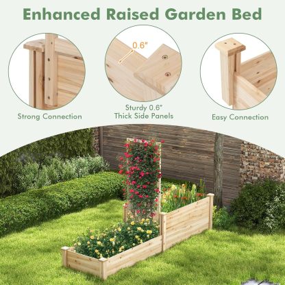 Raised Garden Bed with Trellis, Wood Garden Box w/Open Base Design & 2 Compartments, Outdoor Wooden Planter Box Kit for Vine Climbing, Fruits, Vegetables, Flowers, Herbs
