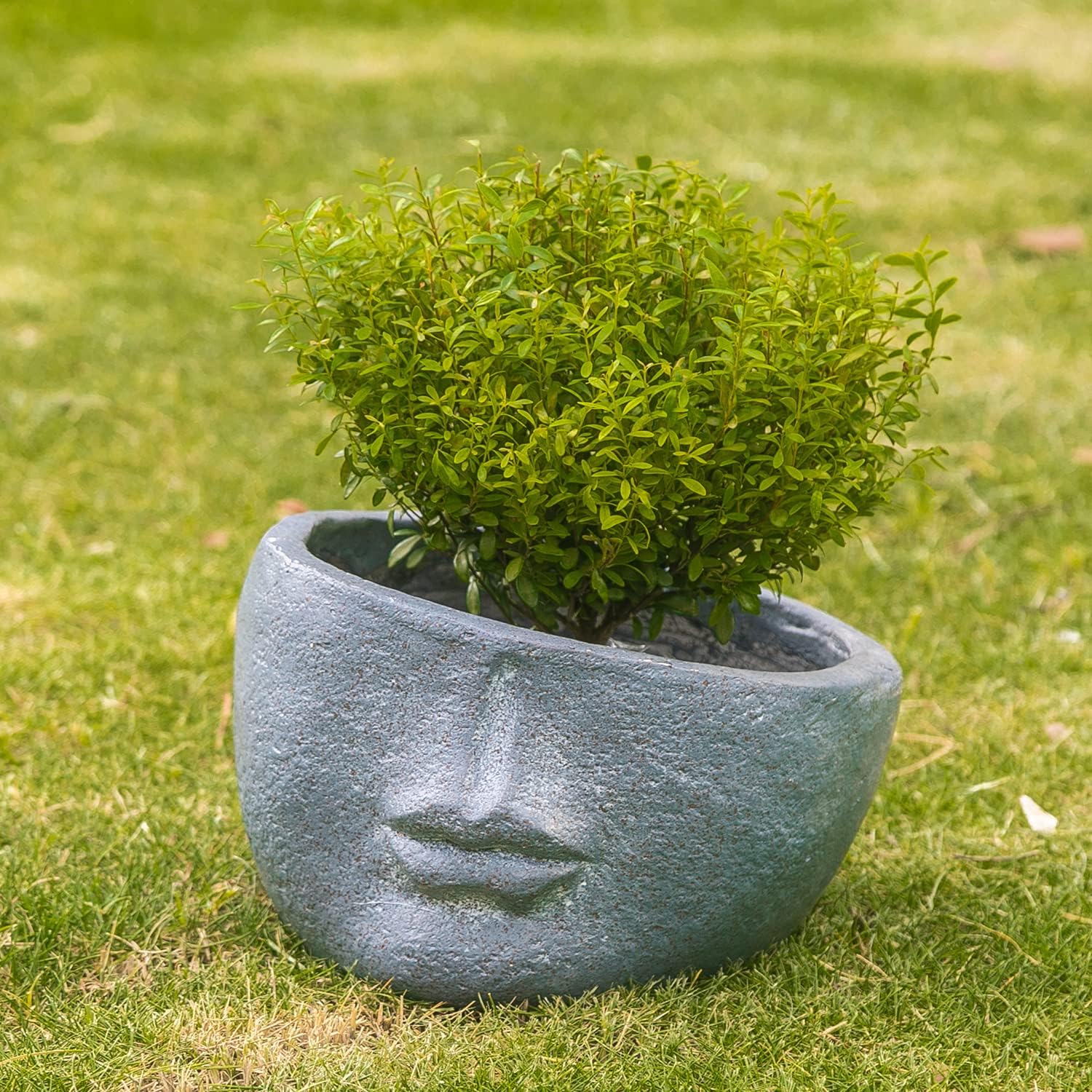 Abstract Face Head Planter,12 inch Face Flower Pot,Flower Plant Pots for Indoor Outdoor Plants