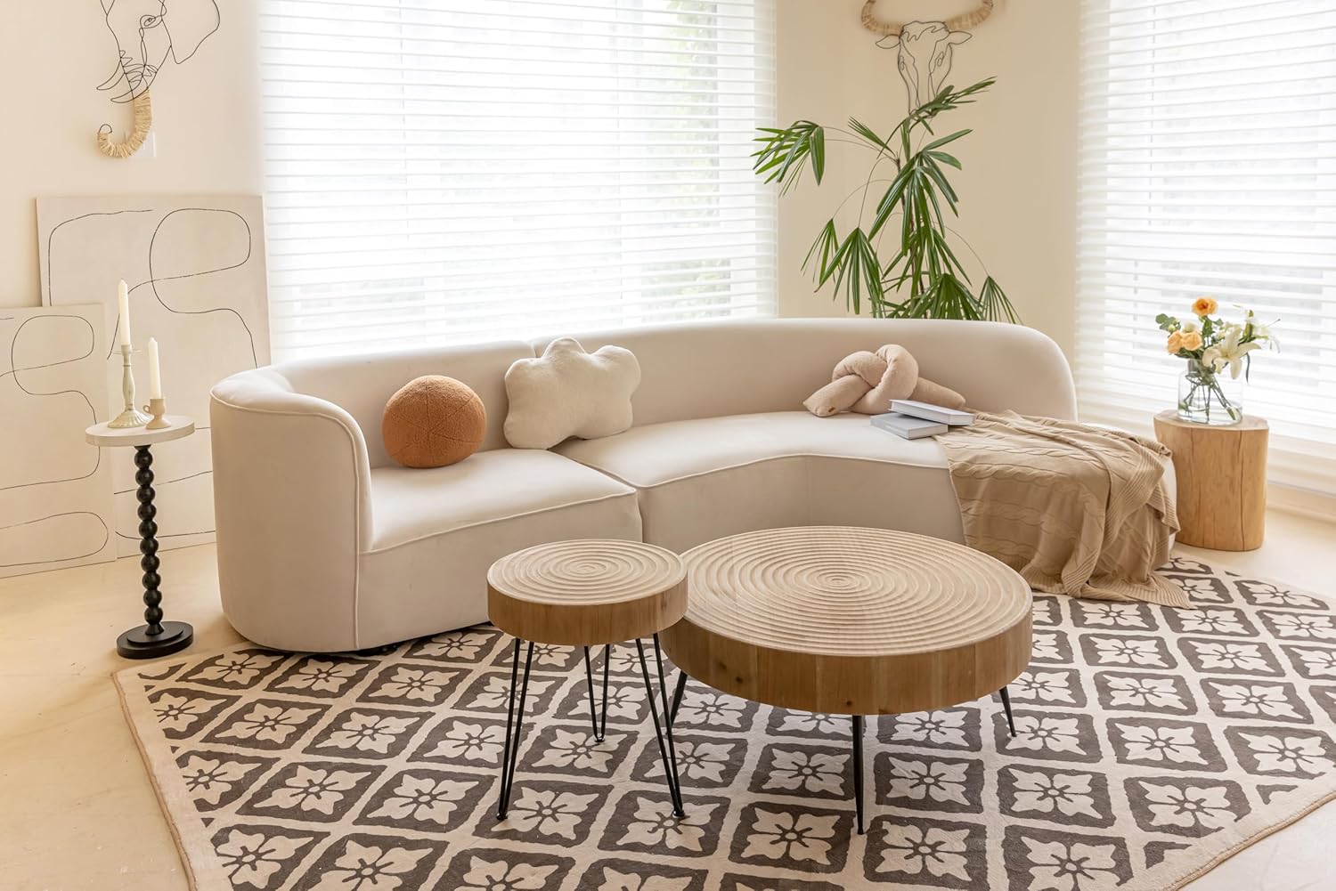 2-Piece Modern Farmhouse Living Room Coffee Table Set