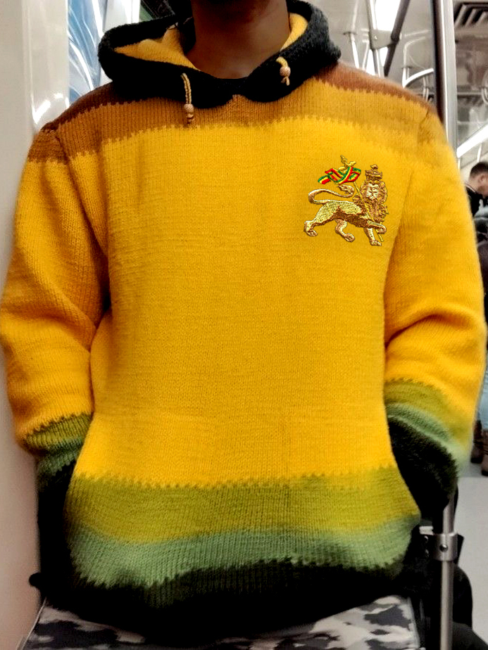 Men's Colorblock Lion Graphic Print Knit Hoodie-Styleame