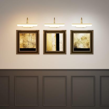 Gold Picture Light,Battery Operated LED Gold Painting Light with Remote, Rotatable Light Tube with 3 Lighting Modes, Dimmable Display Light with Timer for Painting Picture Frame Portrait Art