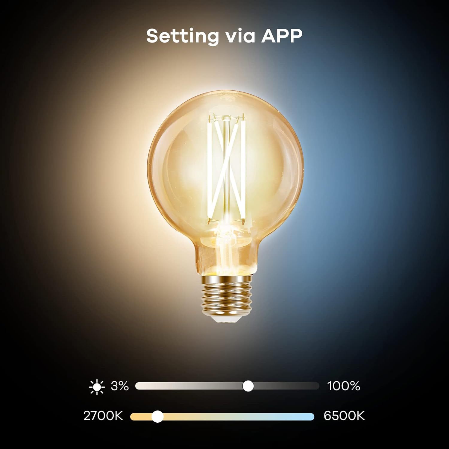 G25 Globe Smart Edison Bulbs, 2700K-6500K Tunable and Dimmable WiFi Edison Bulbs 2-Pack