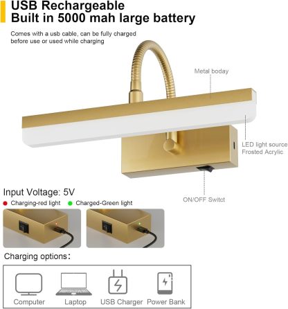 Gold Picture Light,Battery Operated LED Gold Painting Light with Remote, Rotatable Light Tube with 3 Lighting Modes, Dimmable Display Light with Timer for Painting Picture Frame Portrait Art
