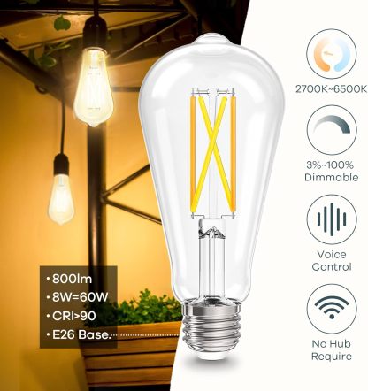 Smart Edison Bulbs, 2700K-6500K Tunable WiFi Edison Bulbs with Remote Control 2-Pack