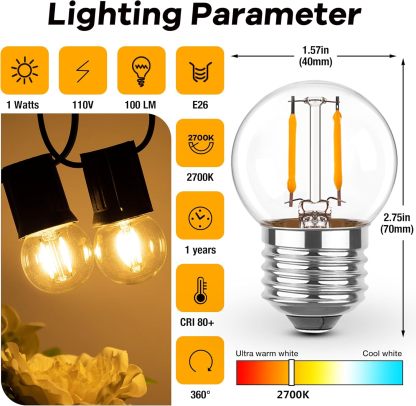 E26 Low Light Bulbs,1Watt G40 Edsion Small LED Light Bulbs Equal to 10w Incandescent,2700k Warm White for Bedside Lights, Wall Lights, Porch Lights, Courtyard Light Strings,230V,2Pcs
