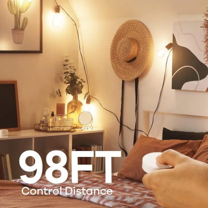 Smart Edison Bulbs, 2700K-6500K Tunable WiFi Edison Bulbs with Remote Control 2-Pack