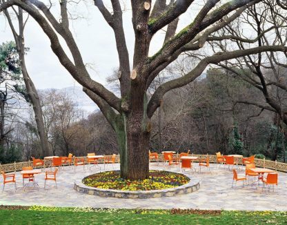 Resin Outdoor Arm Chair in Orange (Set of 4)