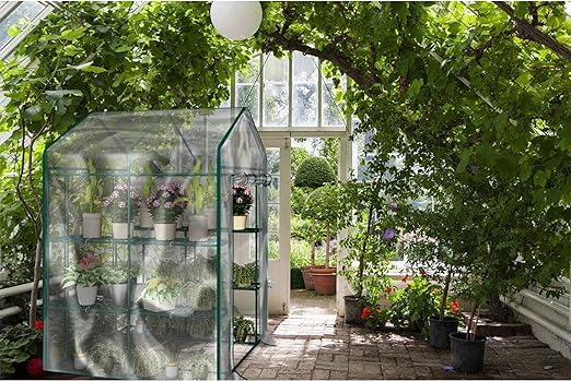 Walk in Greenhouse with 8 Sturdy Shelves and PVC Cover for Indoor or Outdoor Use - 56 x 56 x 76-Inch