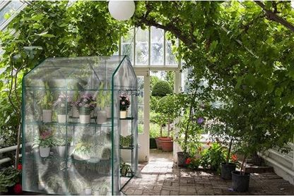 Walk in Greenhouse with 8 Sturdy Shelves and PVC Cover for Indoor or Outdoor Use - 56 x 56 x 76-Inch