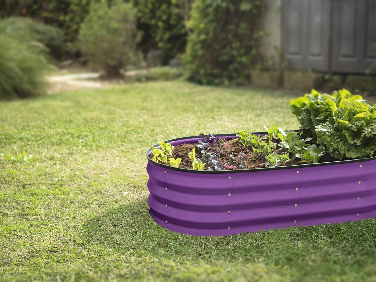 Galvanized Raised Garden Beds Outdoor // 4×2×1 ft Planter Raised Beds for Gardening, Vegetables, Flowers // Large Metal Garden Box
