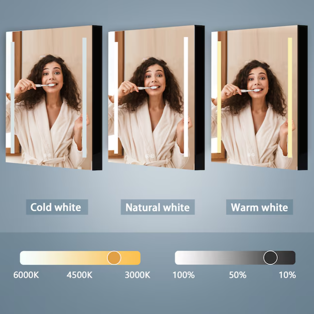 30-in x 20-in LED Fog Free Surface/Recessed Mount Black Mirrored Soft Close Medicine Cabinet