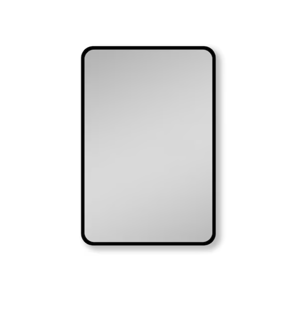 Medicine Cabinet 24-in x 30-in Surface/Recessed Mount Black Mirrored Medicine Cabinet