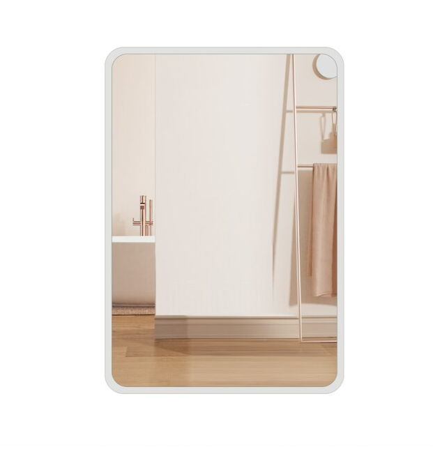 24-in x 32-in Surface/Recessed Mount White Mirrored Soft Close Medicine Cabinet