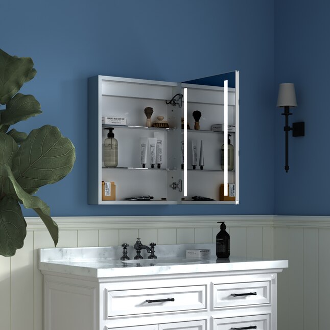 LED Medicine Cabinet 20-in x 26-in Lighted LED Fog Free Surface/Recessed Mount Silver Mirrored Soft Close Medicine Cabinet with Outlet