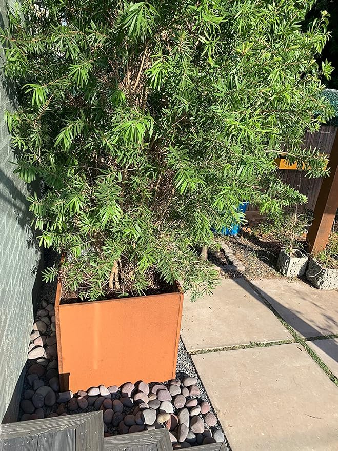 Corten Steel Planter Box Metal Square Planters Steel Large Planter