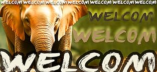 Ganesha Statue,Ganapati Ganesh Statue in Crystal Orgone Pyramid-Ganpati Idol