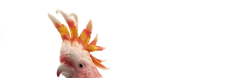 -2--DW-M-LP506-504_10