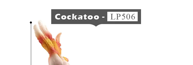 -2--DW-M-LP506-504_07