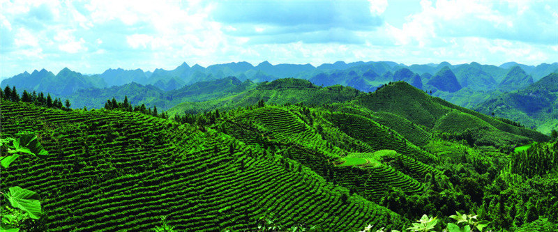 5120288_213528127139_2