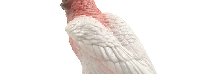 -2--DW-M-LP506-504_11