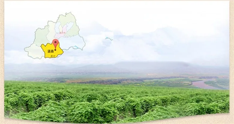  C-TS017 New Arrival 100g Top Grade 100% Purely Natural Organic Chinese Yam Rhizome Extract Powder Herbal Tea 