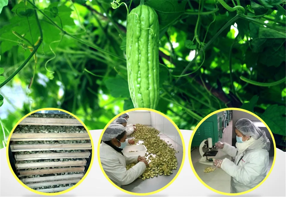 TB2XjIhjpXXXXbQXXXXXXXXXXXX_!!287737612