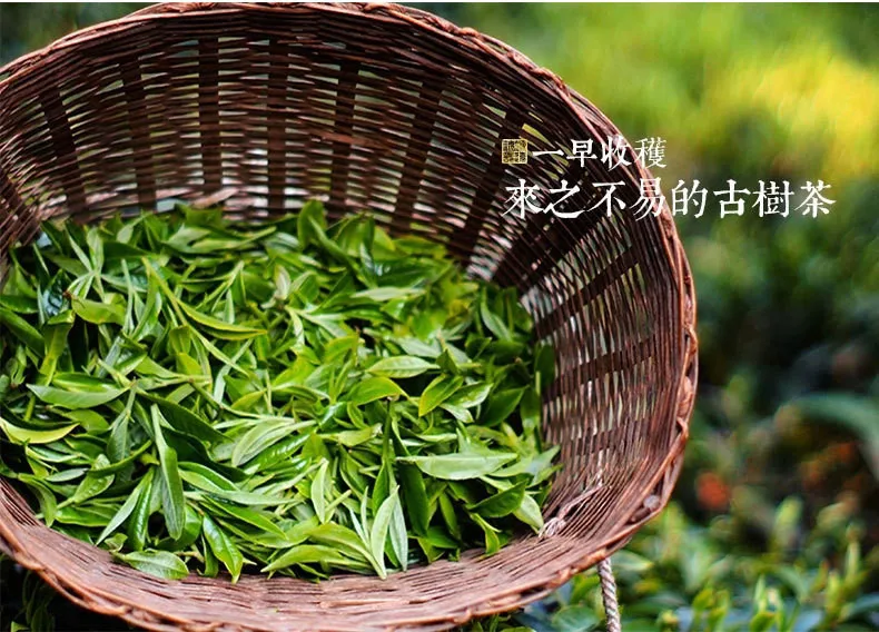 C-PE012 Yunnan pu erh tea puer ripe organic pu er tea cooked ripe Pu'er tea 330g factory direct NO additives green food 