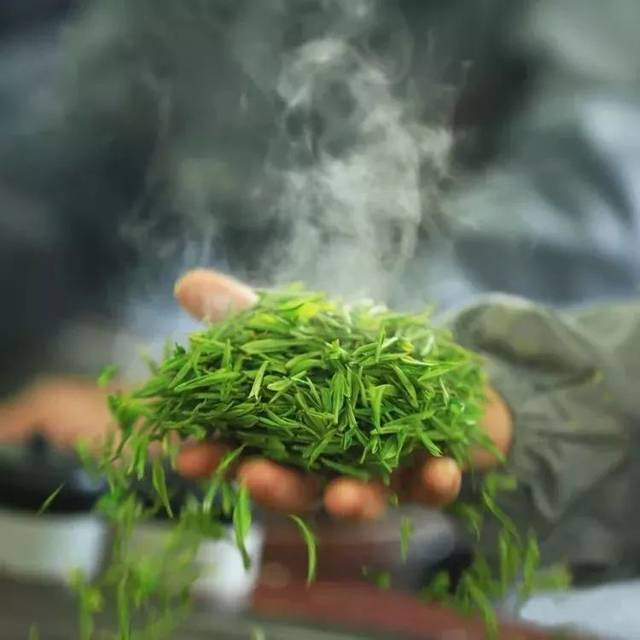 hmqViviiyNSAyin7WuaRtwzI1WsY8jzpLag4