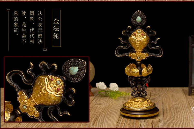 HTB1Tr8fXER1BeNjy0Fmq6z0wVXar