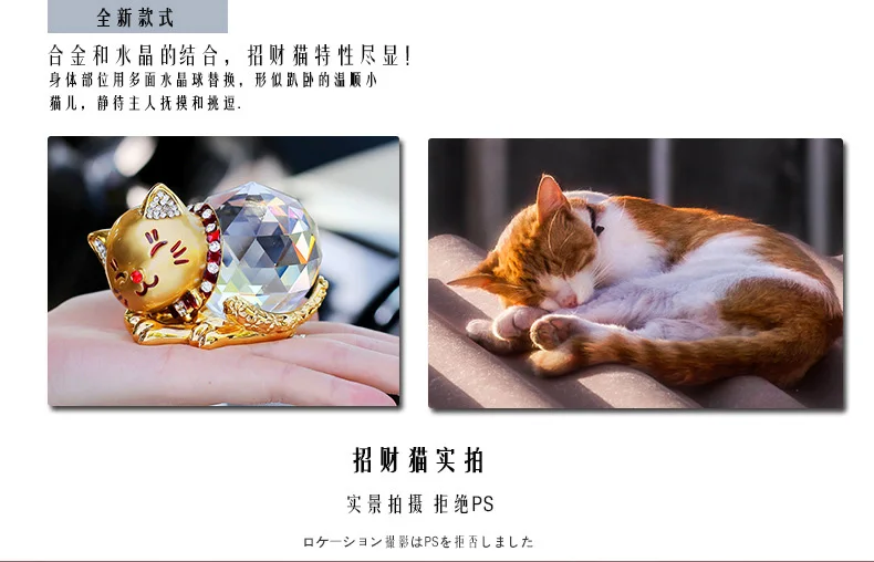 HTB1cgRVXPLuK1Rjy0Fhq6xpdFXaL