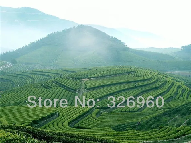  Promotion NEW 30 Bags Super Grade Fragrance Type Health Care Chinese Oolong Tea Bag Anxi TiKuanYin Green Tea Bags 