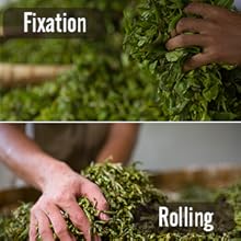 Puerh Tea Detox Tea Bags Loogse Weight