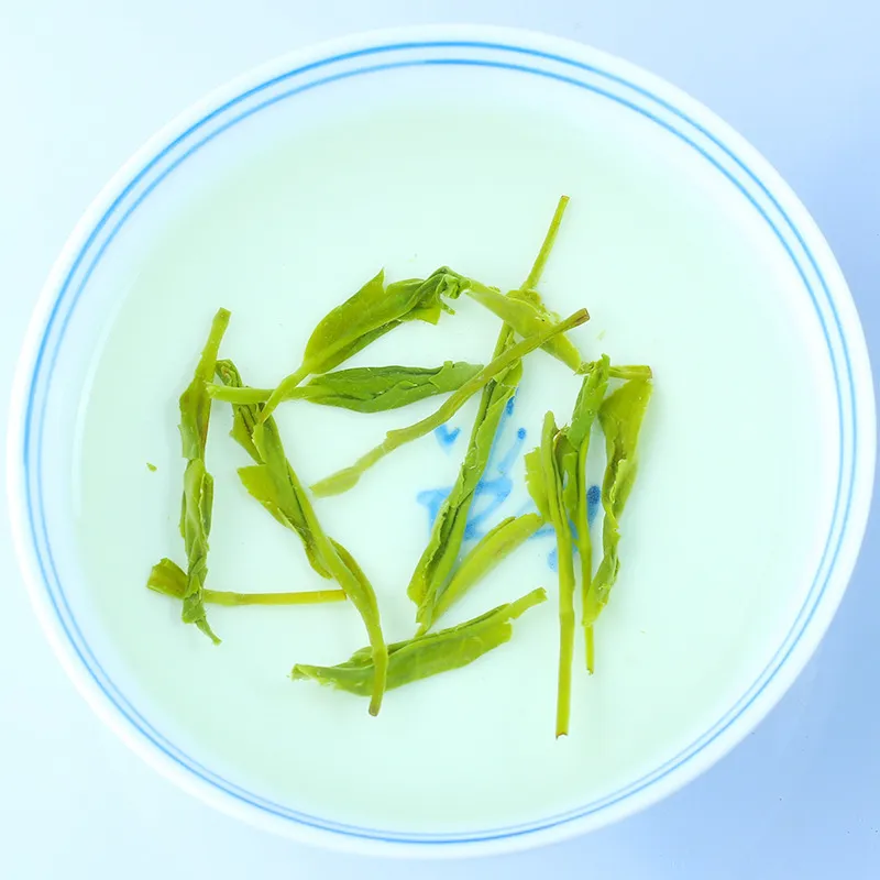 2021 New Spring Arrival Fresh Specialty Herbal 250g Tea Chinese Green Tea Xinyang Maojian Top Grade Healthy CareTea