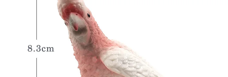 -2--DW-M-LP506-504_08