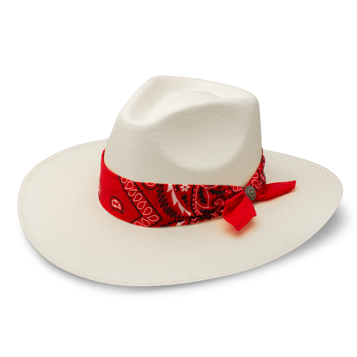 Dreamcatcher Fashion Hat