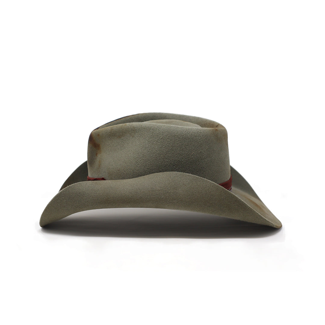 Mutated Plains Traveler