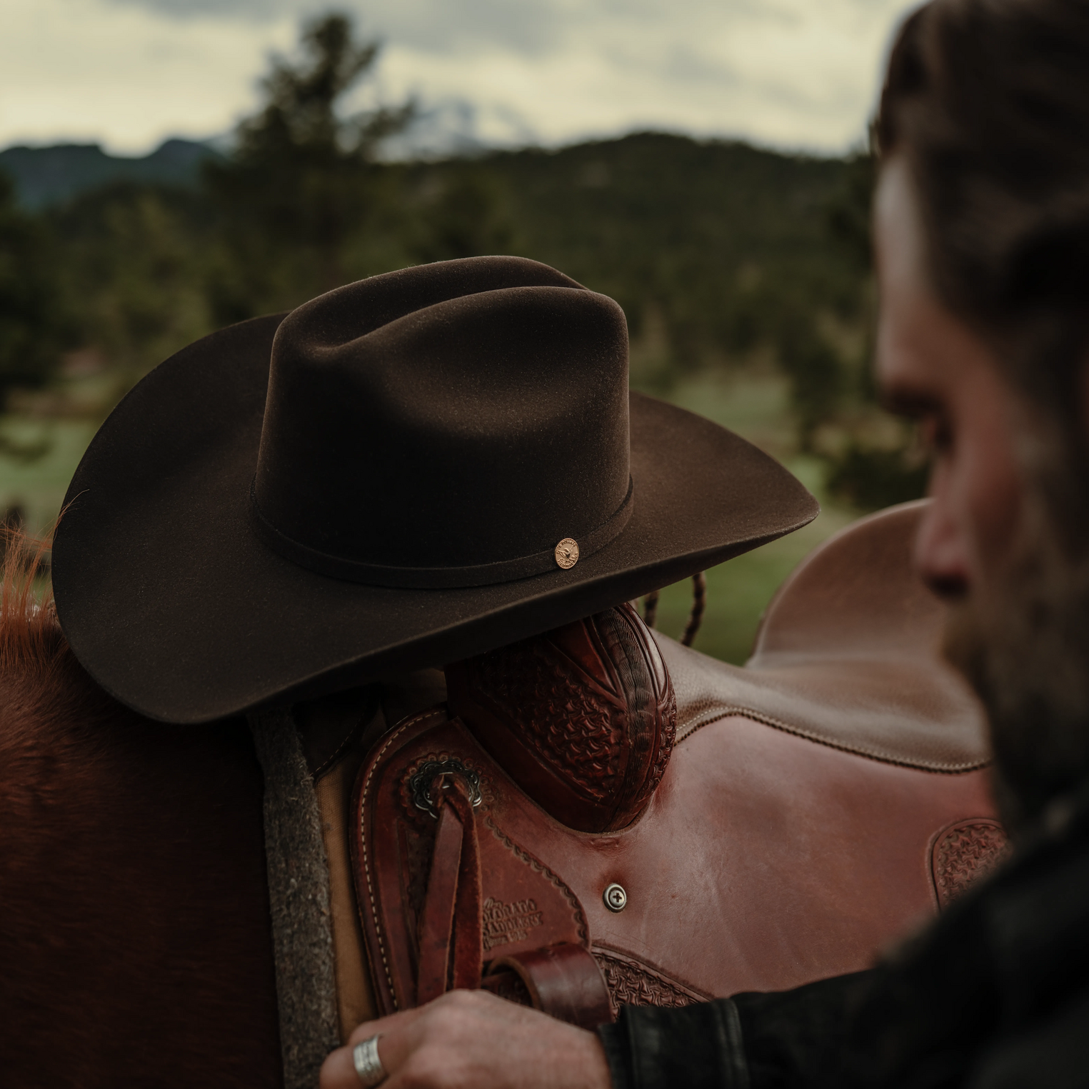 The Golden Eagle 100X