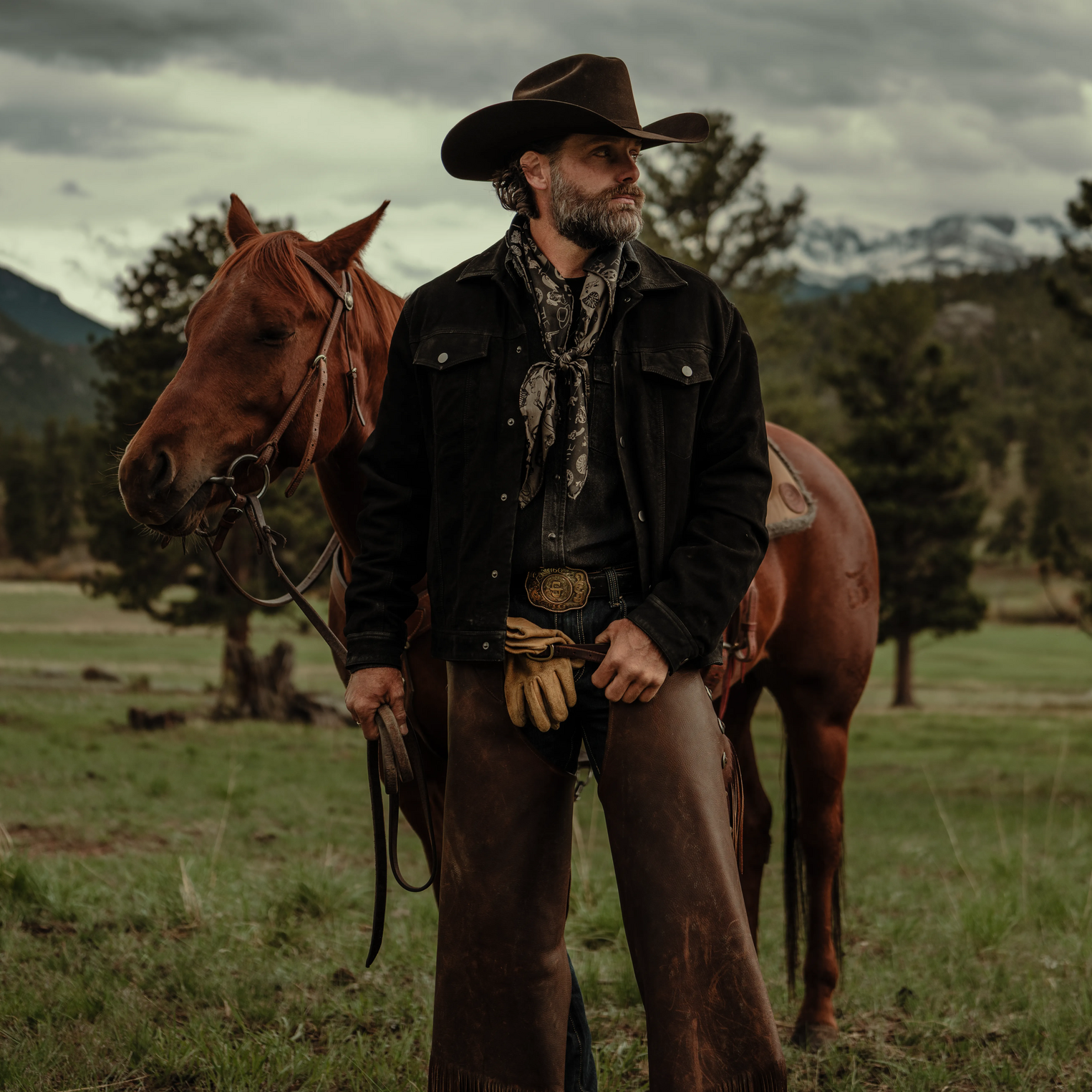 The Golden Eagle 100X