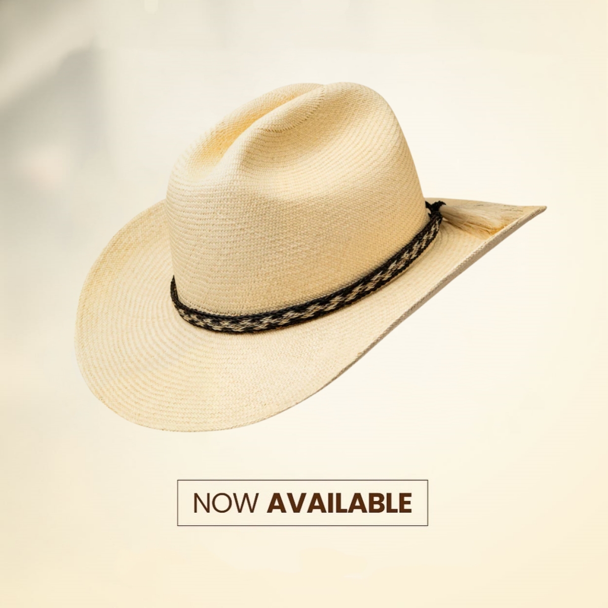 Montecristi Panama Hat - Western Horsehair Strap