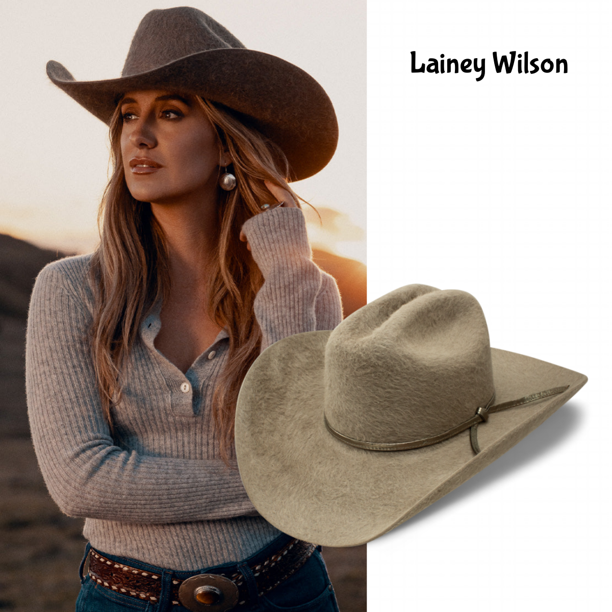 Silver Bullet Proof Western Hat