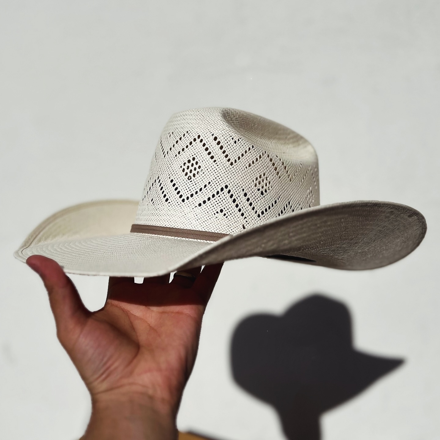 Resistol 20X Wildfire Hat