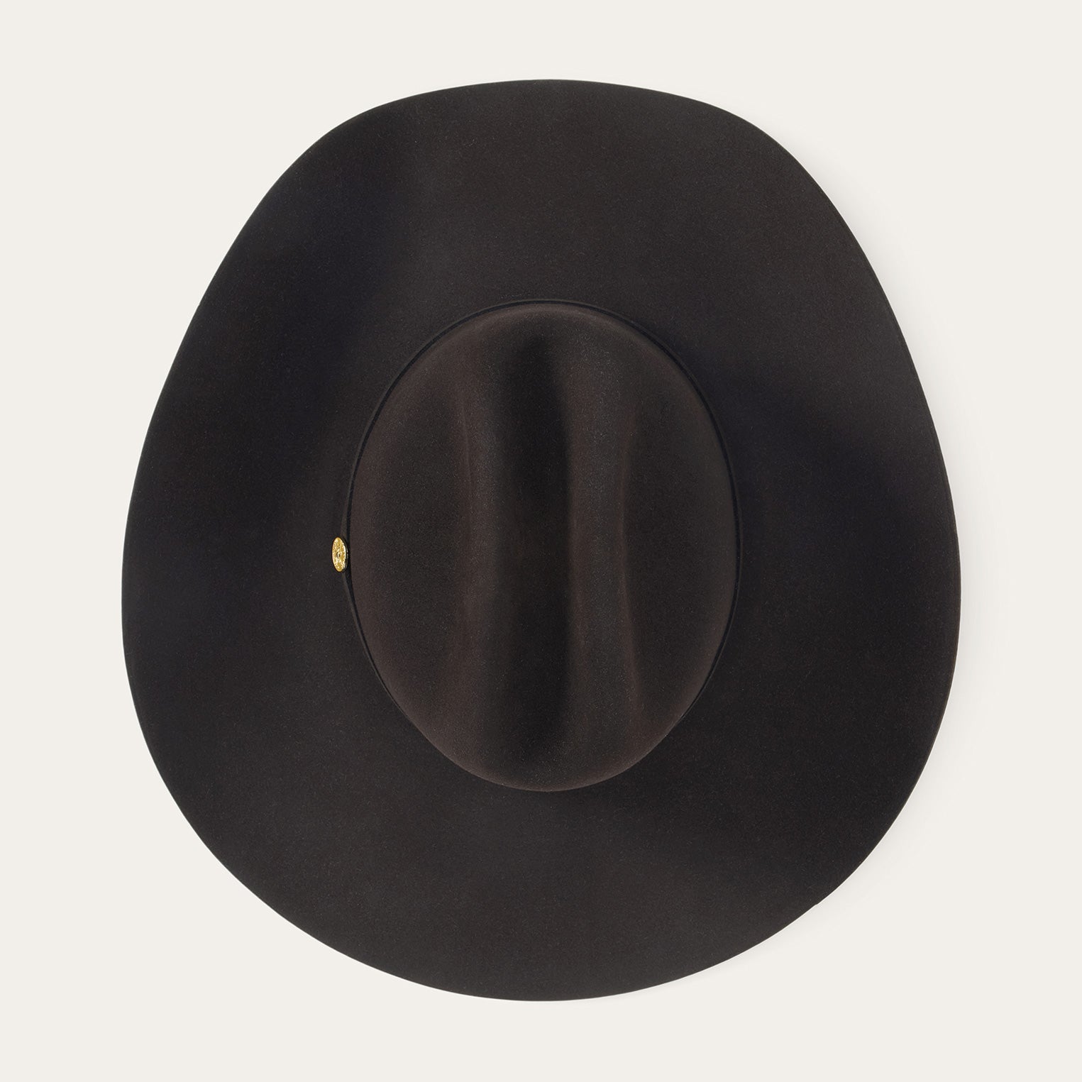 The Golden Eagle 100X