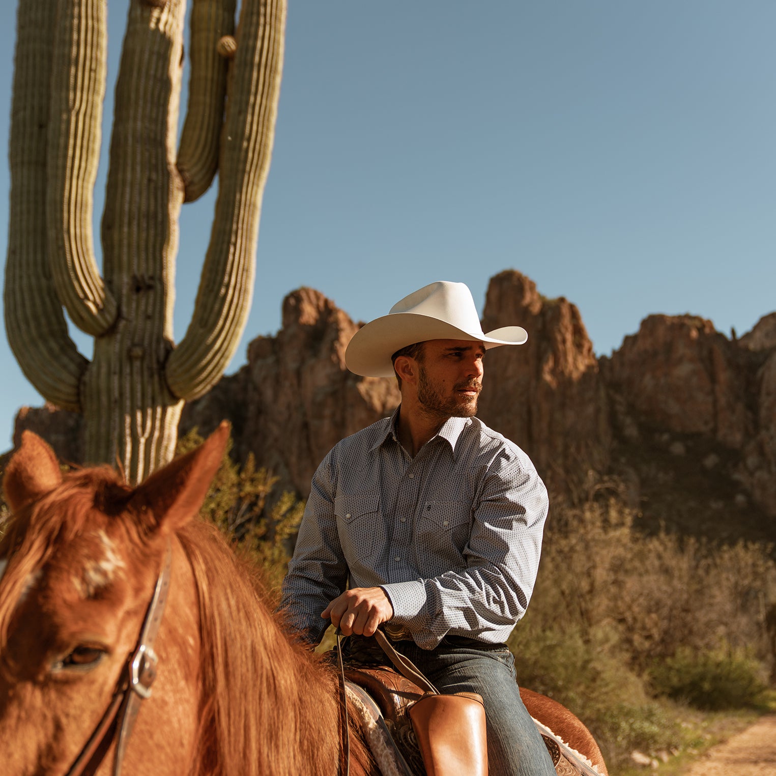 Shasta 10X Premier Cowboy Hat