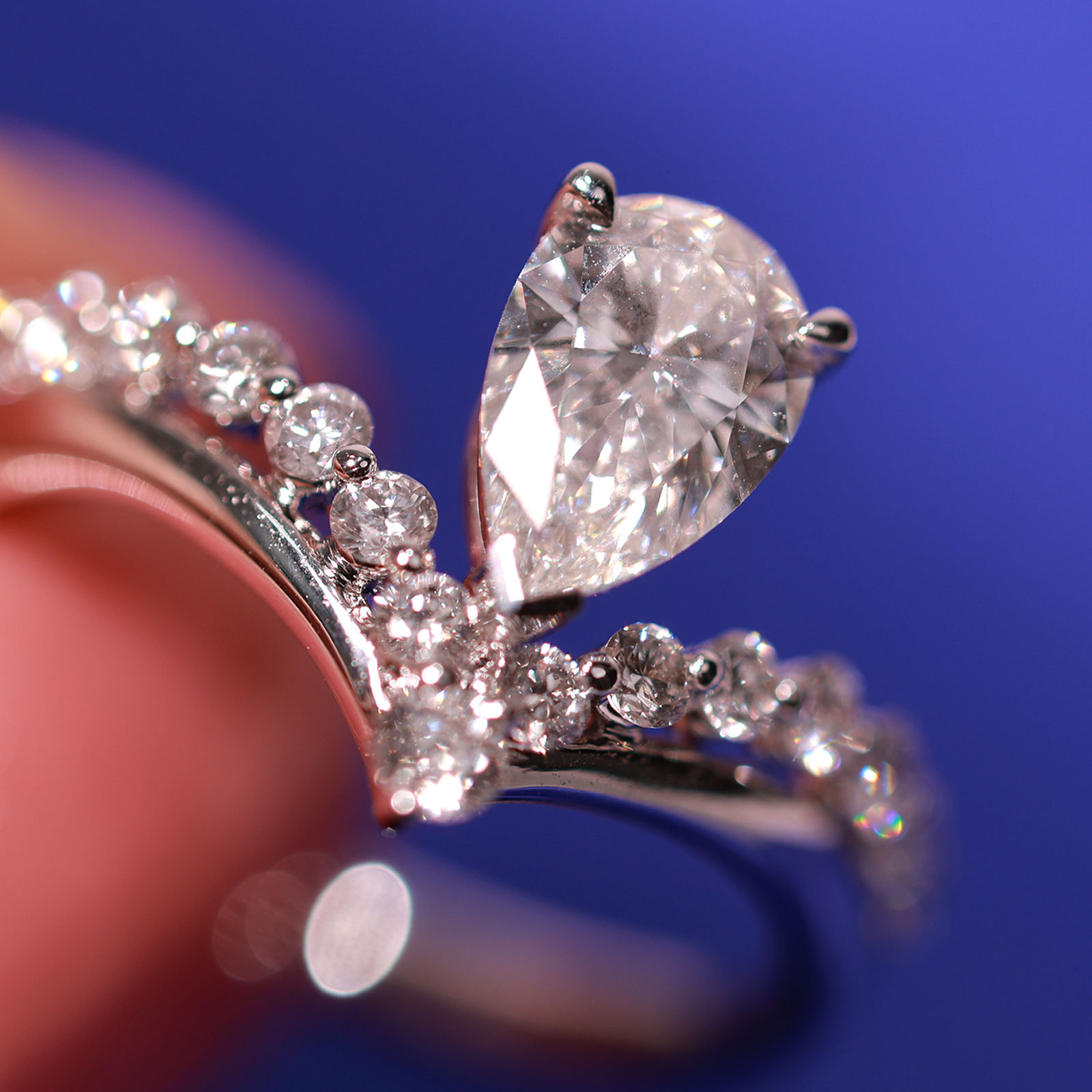 Professional Resizing Services