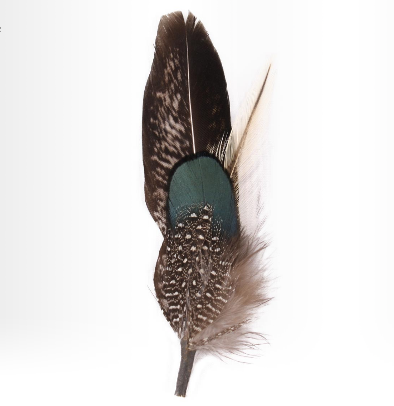 Hat Feather one E