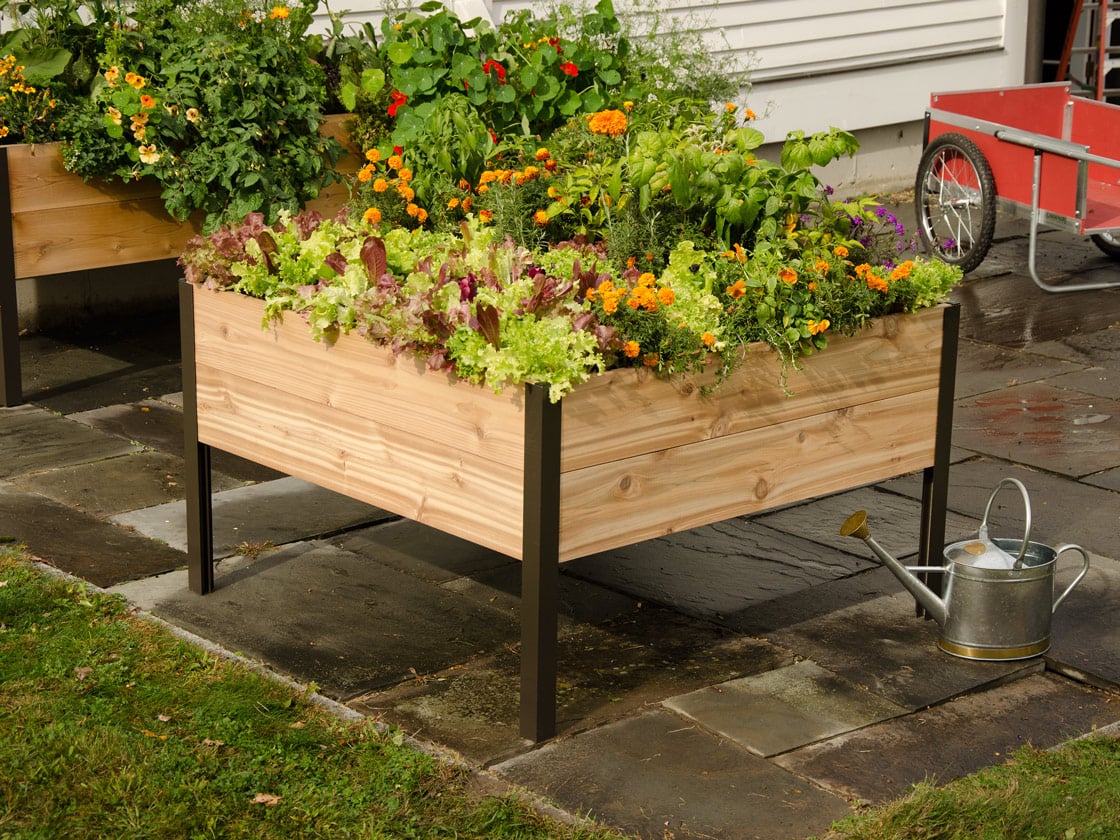 4' x 4' Elevated Planter Box – paulinee