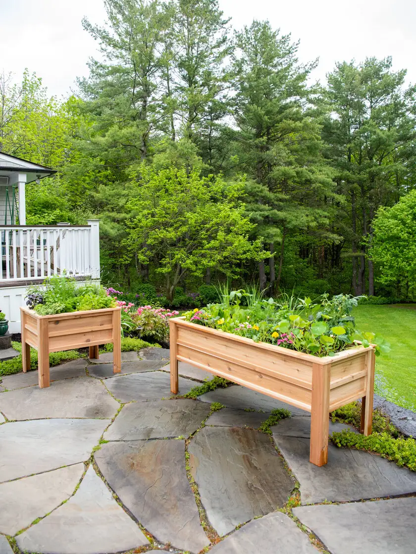 Craftsbury Elevated Raised Beds paulinee