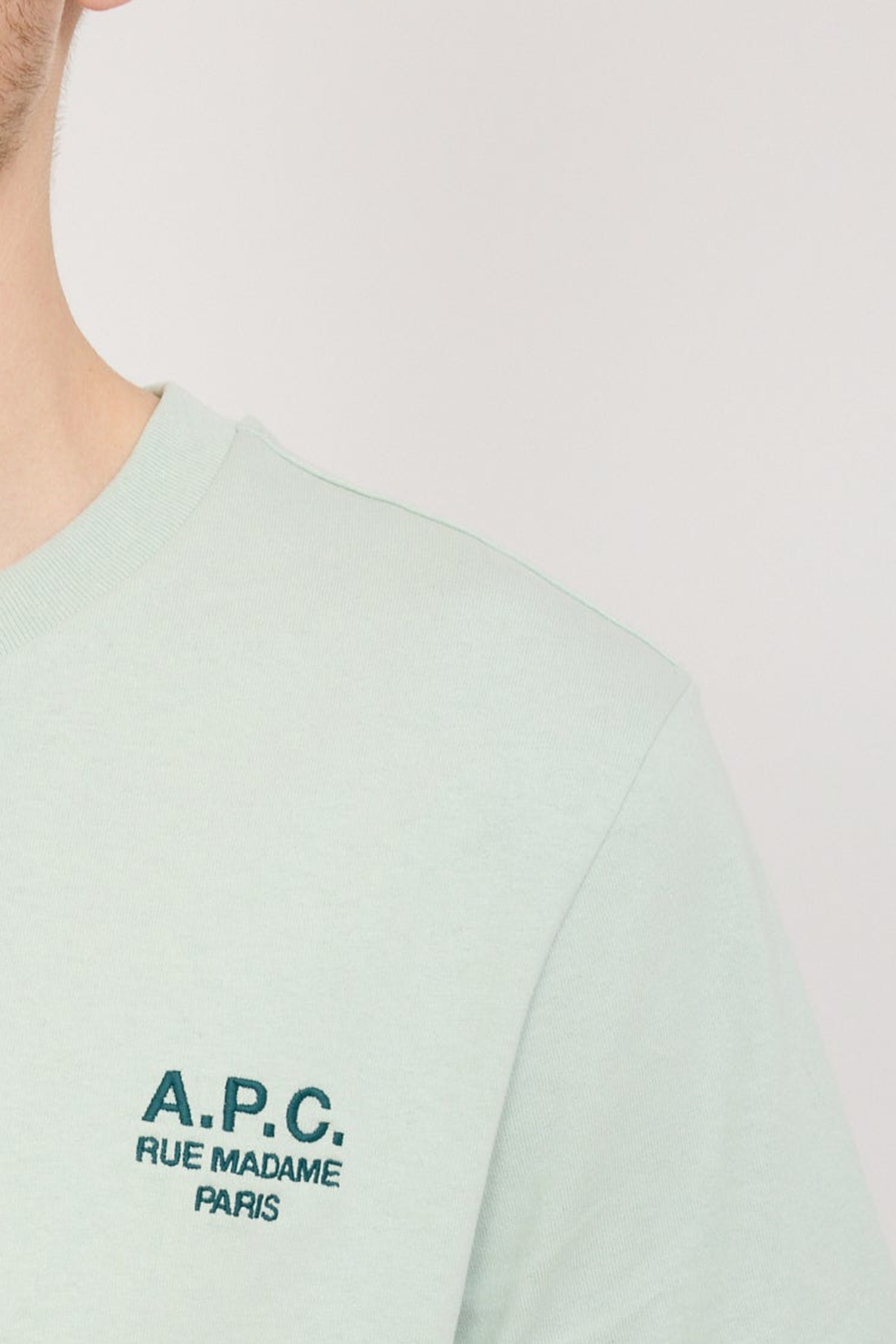 Standard T-Shirt Light Green